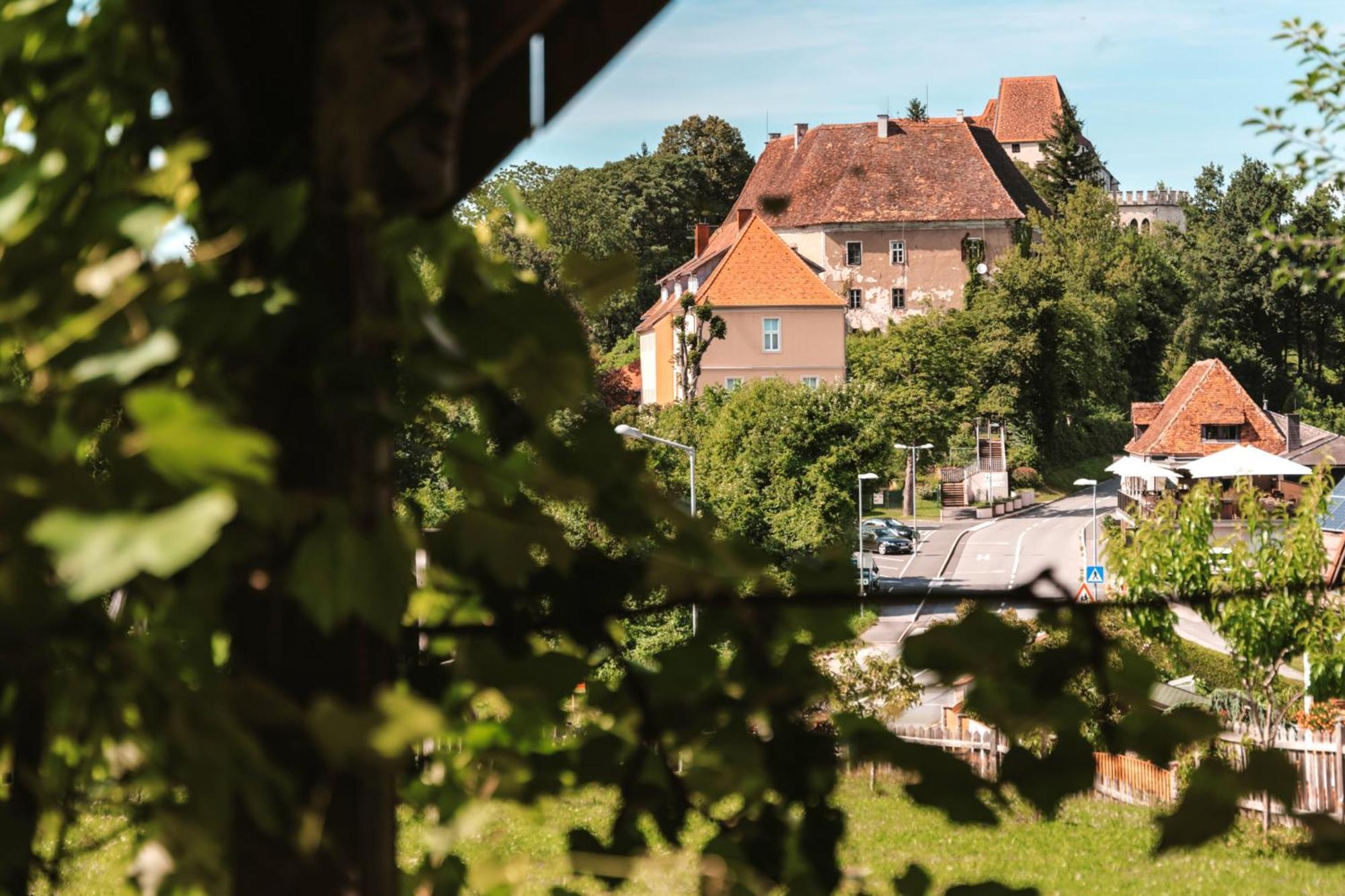 Ferienwohnungen Karin Am Seggauberg Leibnitz Ngoại thất bức ảnh